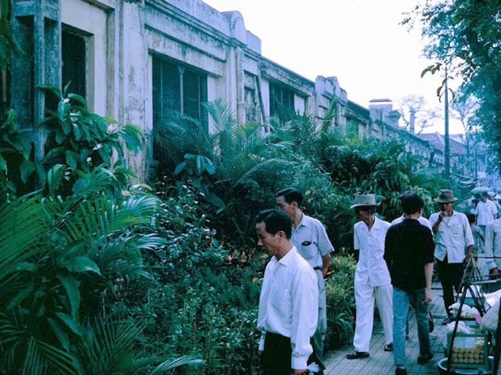 Chợ cây cảnh trên phố.