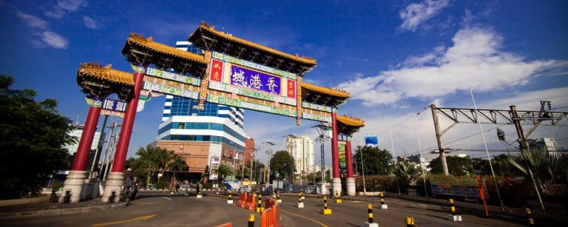 Thế lực kinh tế của người Hoa ở các nước Đông Nam Á.