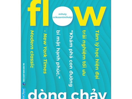 Flow - Dòng Chảy PDF