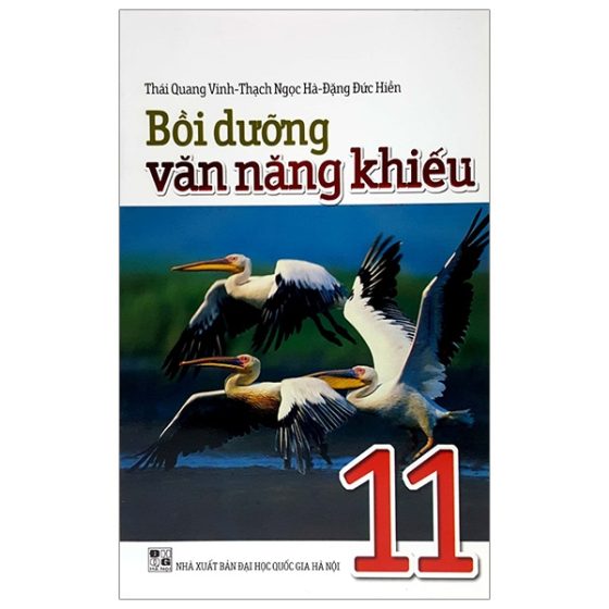 Bồi Dưỡng Văn Năng Khiếu 11 PDF