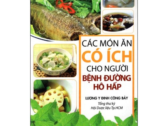 Các Món Ăn Có Ích Cho Người Bệnh Đường Hô Hấp (Tái Bản 2015) PDF