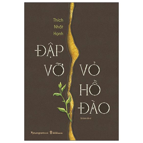 Đập Vỡ Vỏ Hồ Đào (Tái Bản 2024) PDF