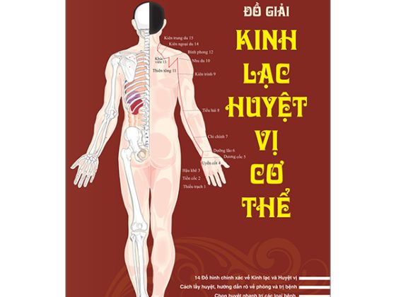 Đồ Giải Kinh Lạc Huyệt Vị Cơ Thể PDF