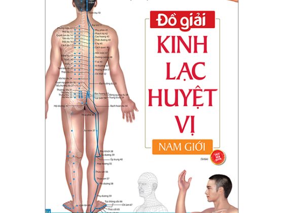 Đồ Giải Kinh Lạc Huyệt Vị - Nam Giới (Tái Bản 2023 ) PDF