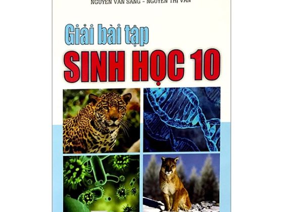 Giải Bài Tập Sinh Học 10 PDF