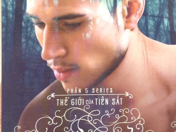 Hoàng Tử Lạc Loài - Phần 5 Series Thế Giới Của Tiên Sắt PDF