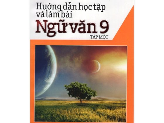 Hướng Dẫn Học Tập Và Làm Bài Ngữ Văn Lớp 9 (Tập Một) PDF