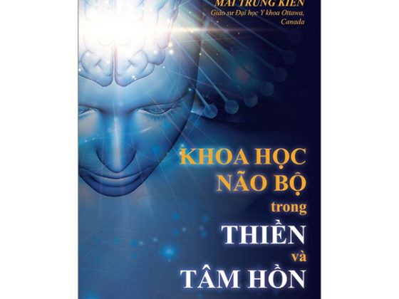 Khoa Học Não Bộ Trong Thiền Và Tâm Hồn PDF