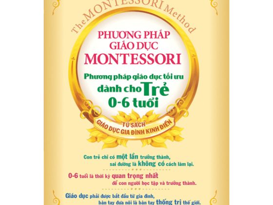 Phương Pháp Giáo Dục Montessori - Phương Pháp Giáo Dục Tối Ưu Dành Cho Trẻ 0-6 Tuổi PDF