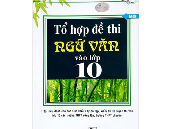 Tổ Hợp Đề Thi Ngữ Văn Vào Lớp 10 PDF