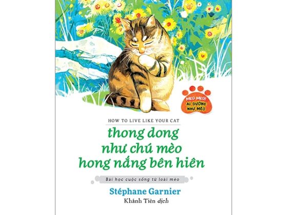Thong Dong Như Chú Mèo Hong Nắng Bên Hiên PDF