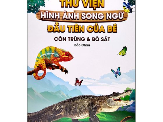 Thư Viện Hình Ảnh Song Ngữ Đầu Tiên Của Bé - Côn Trùng Và Bò Sát PDF