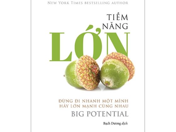 Tiềm Năng Lớn PDF