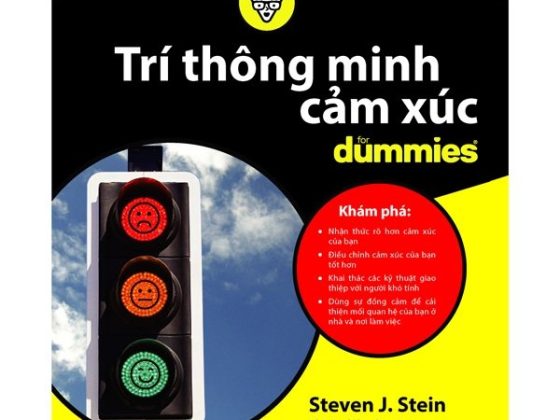 Trí Thông Minh Cảm Xúc For Dummies PDF