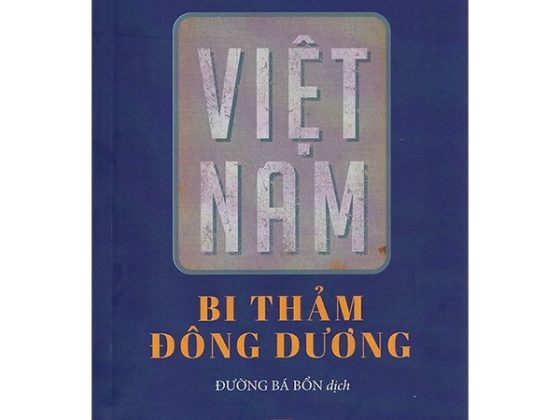 Việt Nam Bi Thảm Đông Dương PDF