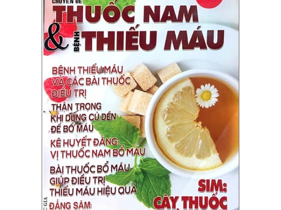 Y Học Phổ Thông Dành Cho Mọi Người - Chuyên Đề:Thuốc Nam Và Bệnh Thiếu Máu (Tập 1) PDF
