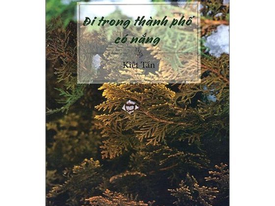 Đi Trong Thành Phố Có Nắng PDF
