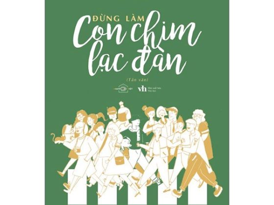 Đừng Làm Con Chim Lạc Đàn PDF