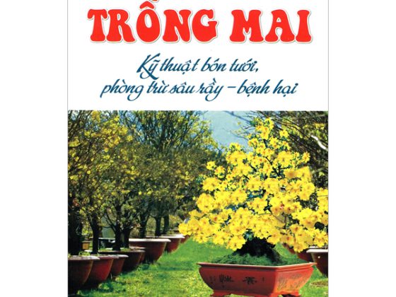 Trồng Mai - Kỹ Thuật Bón Tưới, Phòng Trừ Sâu Rầy, Bệnh Hại PDF