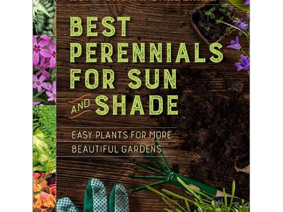Best Perennials for Sun and Shade (Home Grown Gardening) PDF