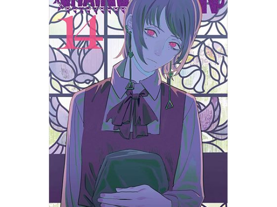 Chainsaw Man 14 (English Edition) PDF