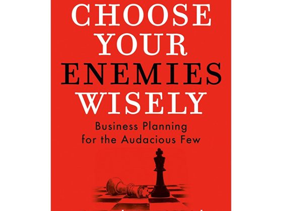 Choose Your Enemies Wisely - Business Planning For The Audacious Few PDF