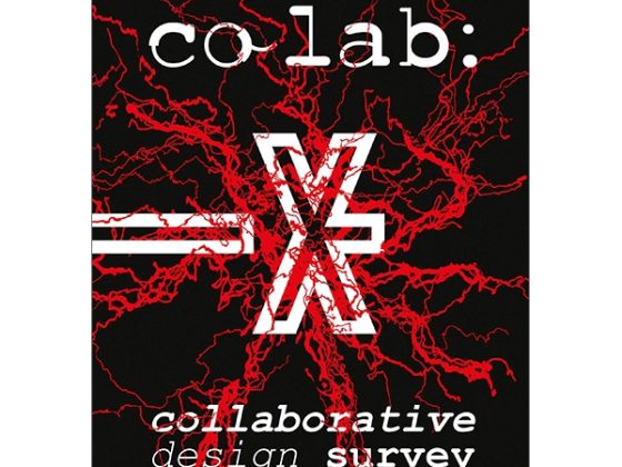 CO LAB: Collaborative Design Survey PDF