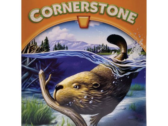 Cornerstone 2013 Student Edition Grade 4 PDF