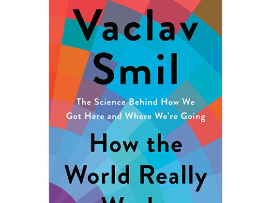 How The World Really Works: The Science Behind How We Got Here And Where We're Going PDF