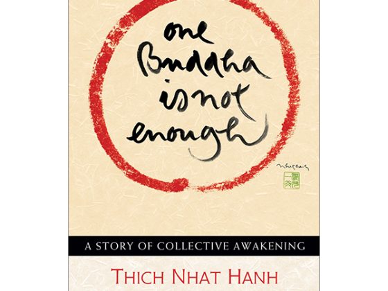 One Buddha Is Not Enough: A Story Of Collective Awakening PDF