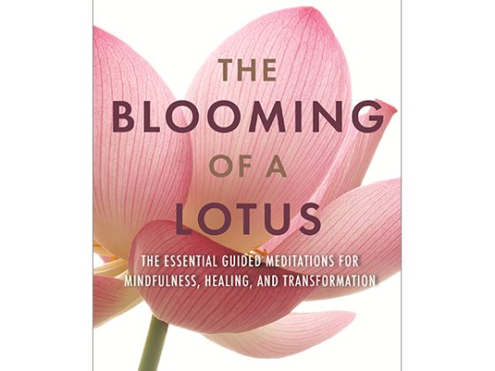 The Blooming Of A Lotus: Essential Guided Meditations For Mindfulness, Healing, And Transformation PDF