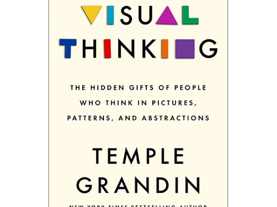 Visual Thinking: The Hidden Gifts Of People Who Think In Pictures, Patterns, And Abstractions PDF