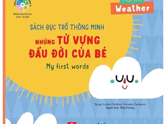 Sách Đục Trổ Thông Minh - Những Từ Vựng Đầu Đời Của Bé - My First Words - Thời Tiết - Weather PDF