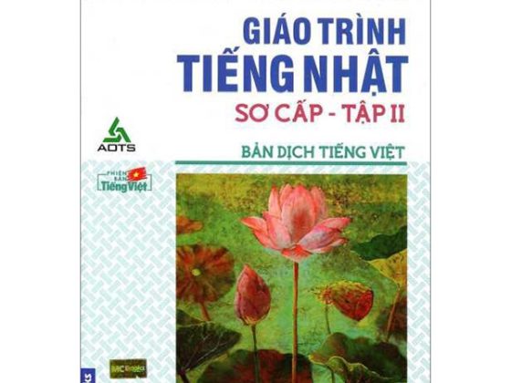 Bộ Giáo Trình Tiếng Nhật Sơ Cấp (Tập 2 ) - SHIN NIHONGO NO KISO II (Bản Dịch Tiếng Việt) PDF